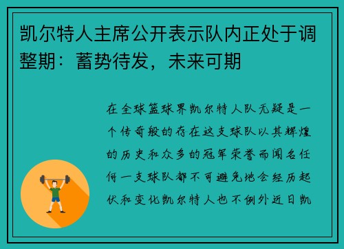 凯尔特人主席公开表示队内正处于调整期：蓄势待发，未来可期